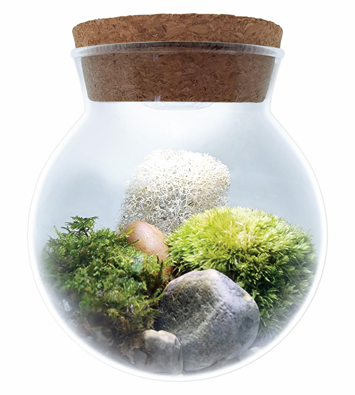 Unique Gardener Moss Bowl River Gravel adds natural texture supporting a lush miniature landscape