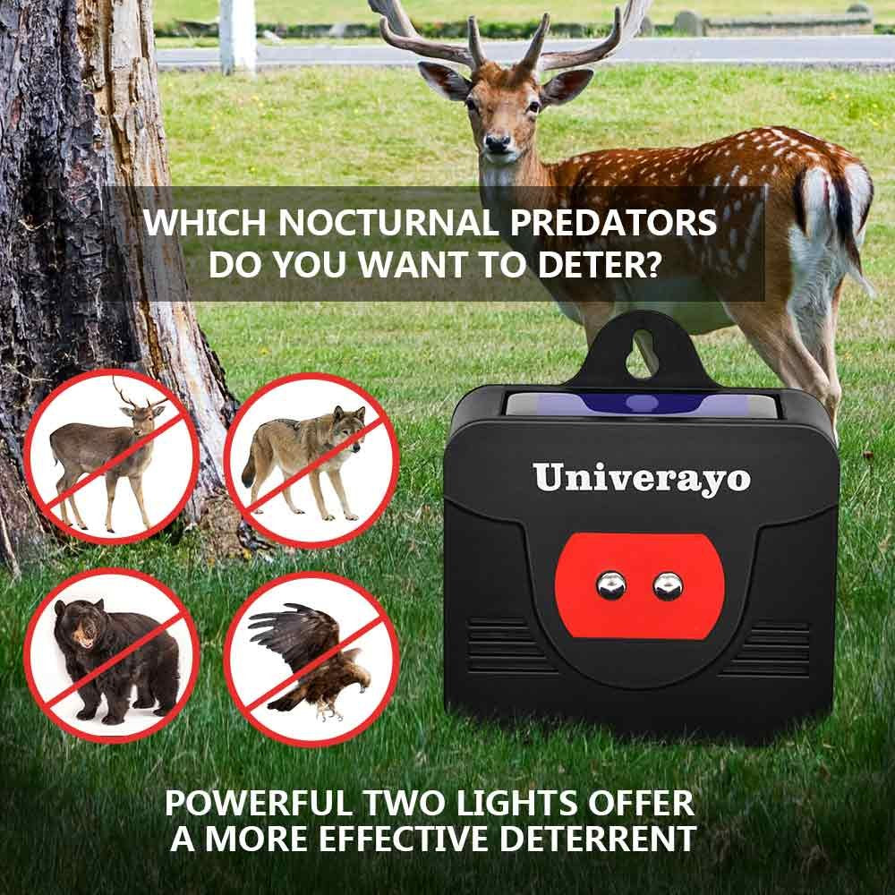 Univerayo raccoon deterrent solar light near a chicken coop