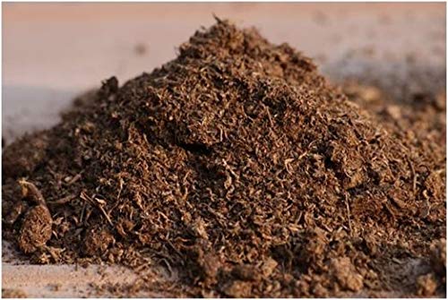 Unknown sphagnum peat moss soil amendment; helps prevent soil compaction.