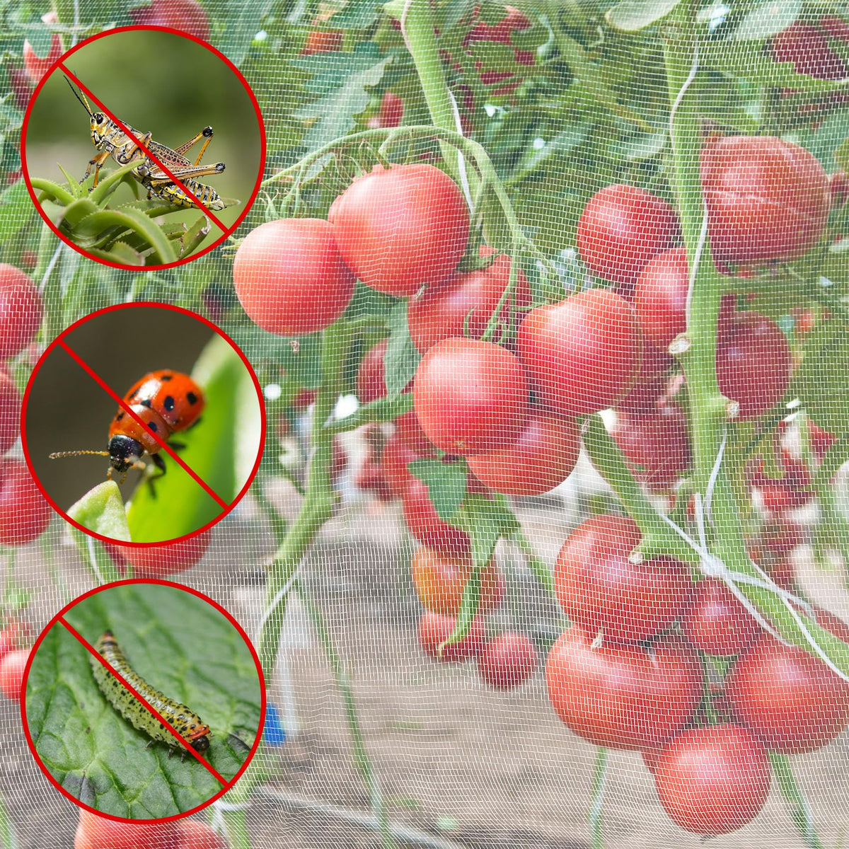 Unves breathable garden netting maintains air and light for thriving growth.