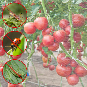 Unves breathable garden netting maintains air and light for thriving growth.
