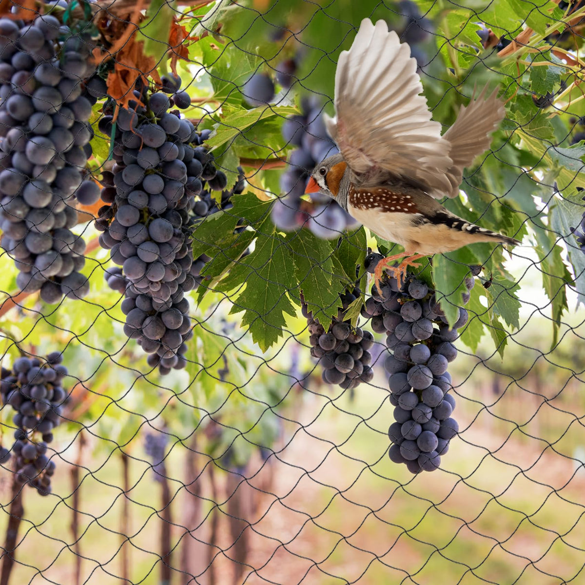 Unves deer barrier netting guarding garden and orchard