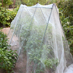 Unves dense polyester mesh offers lightweight, durable plant protection.