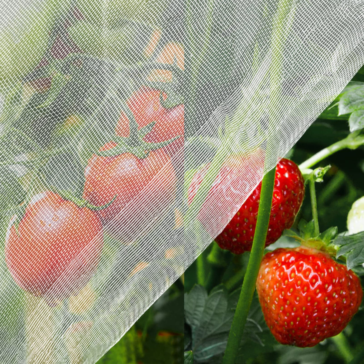 Unves garden mesh netting 8x20 protecting crops from birds and insects while staying breathable.