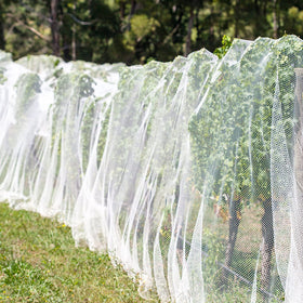 Unves insect netting used in nursery plots for pest protection.