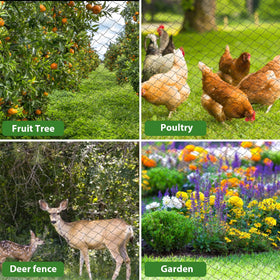Unves multipurpose netting protecting crops and coop from wildlife