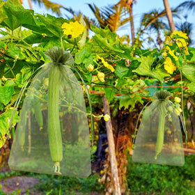 Close-up of Unves tear-resistant organza mesh used for fruit protection