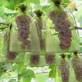 Unves bags used as travel organizers for small items