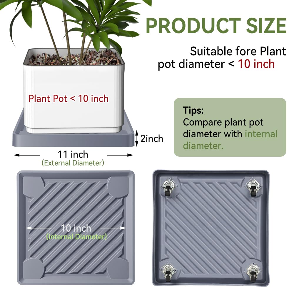 UoeRing plant caddy showing spill-proof water tray protecting floors.