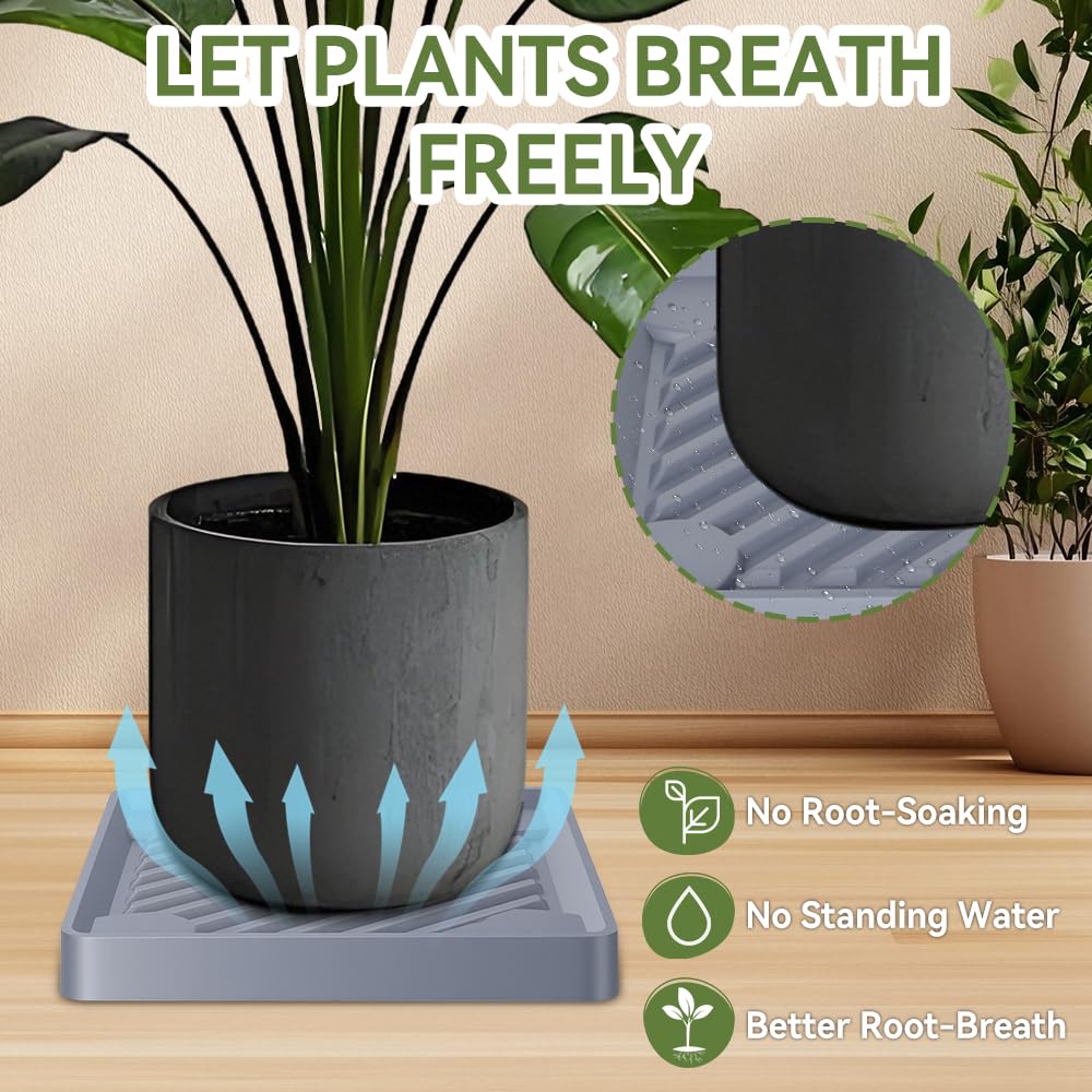 UoeRing raised-grid base improves airflow around plant roots.