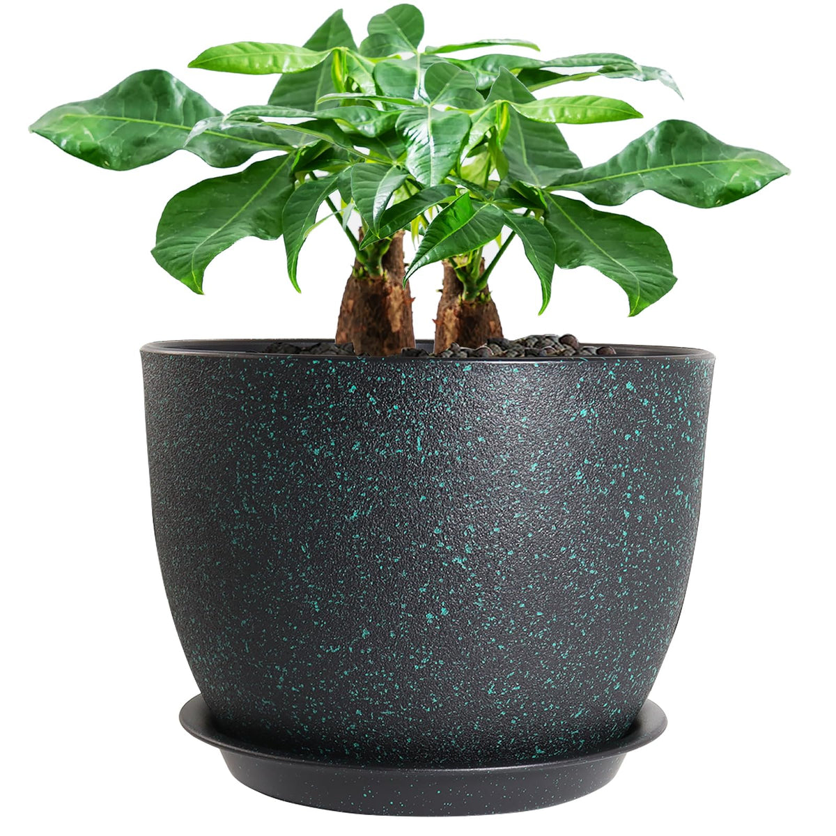 UOUZ 12-inch pot with matte exterior enhances modern indoor decor.