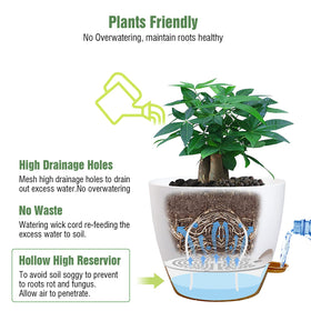 UOUZ 12-inch planter with mesh drainage holes promotes healthy root growth