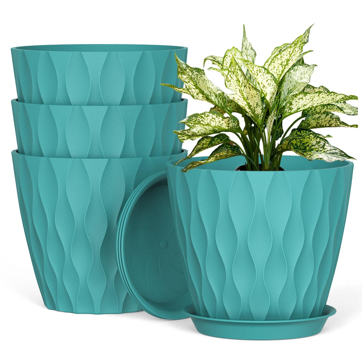 UOUZ 8-inch plant pot with drainage holes for healthy root growth.