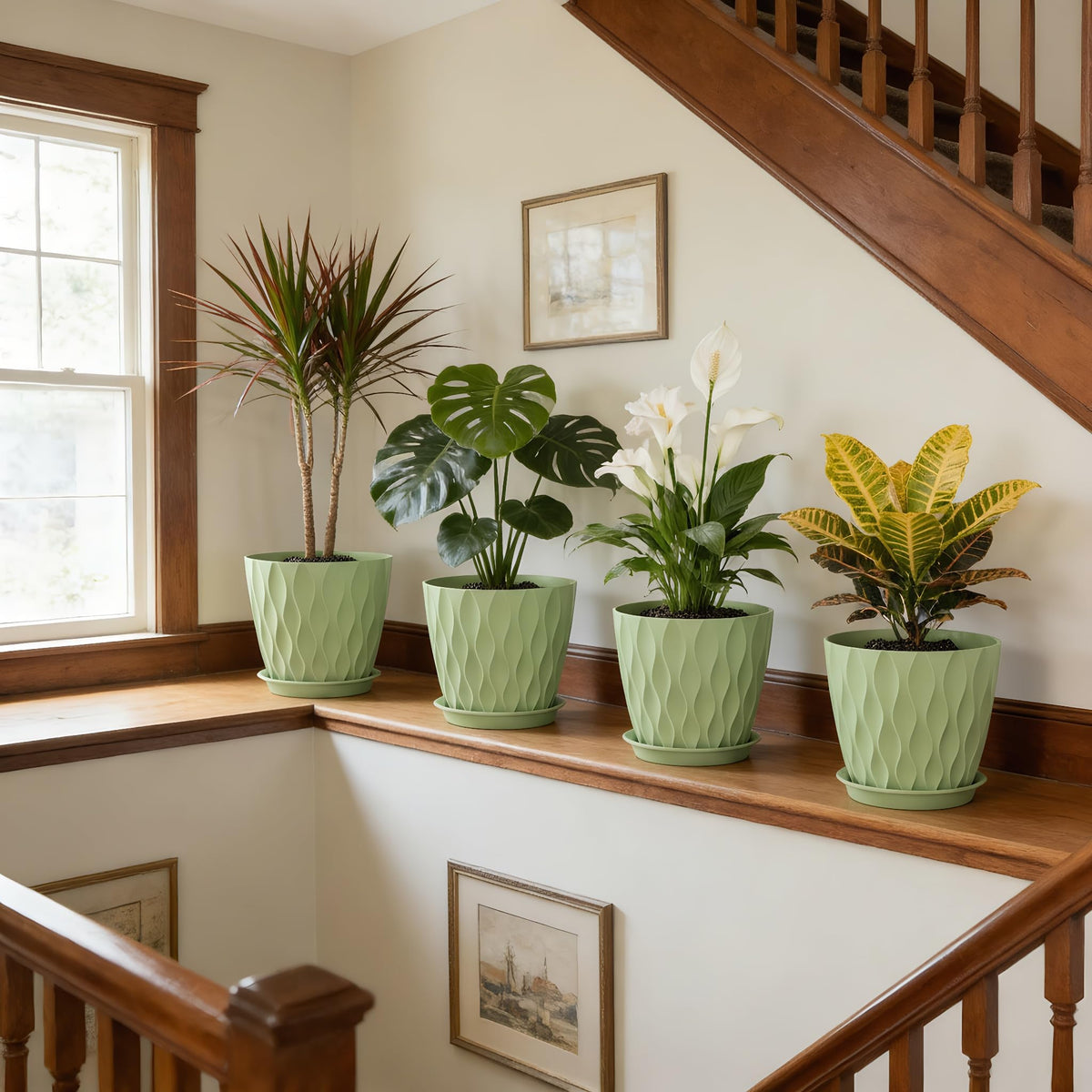 UOUZ 8-inch pot beside monstera for proportion and flexible arrangement.