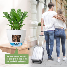UOUZ durable PP plastic construction protects soil and plants during use.