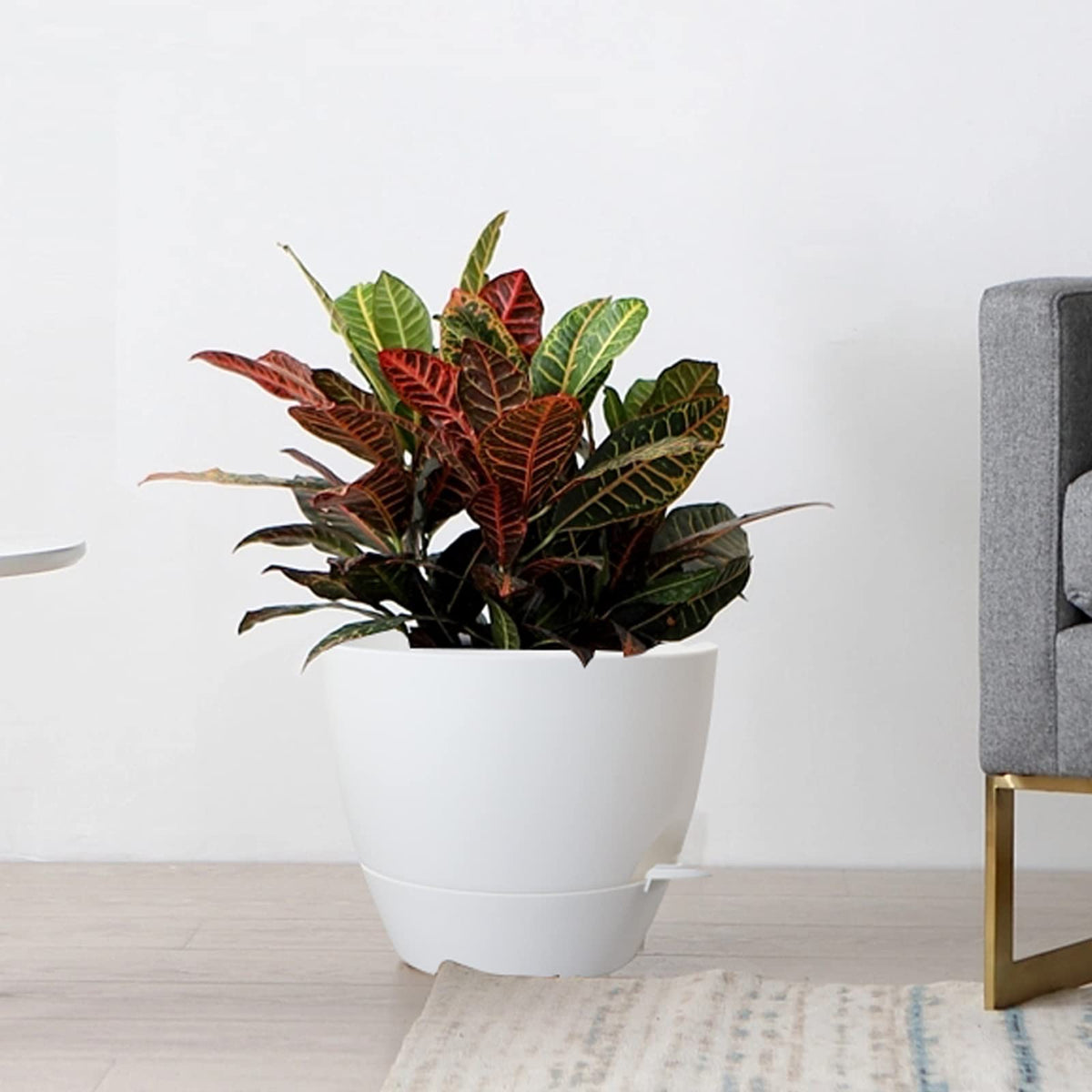 UOUZ matte-finish planter complements modern indoor and outdoor spaces.