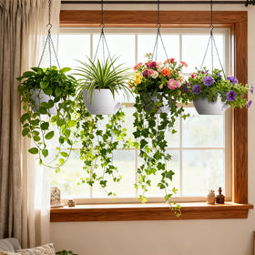 UOUZ indoor-outdoor hanging planter suits porches and living spaces.