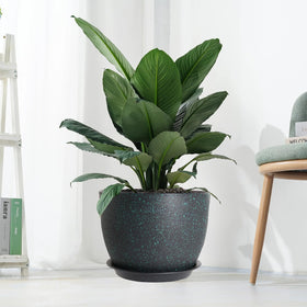 UOUZ minimalist design complements any furniture or garden setting.