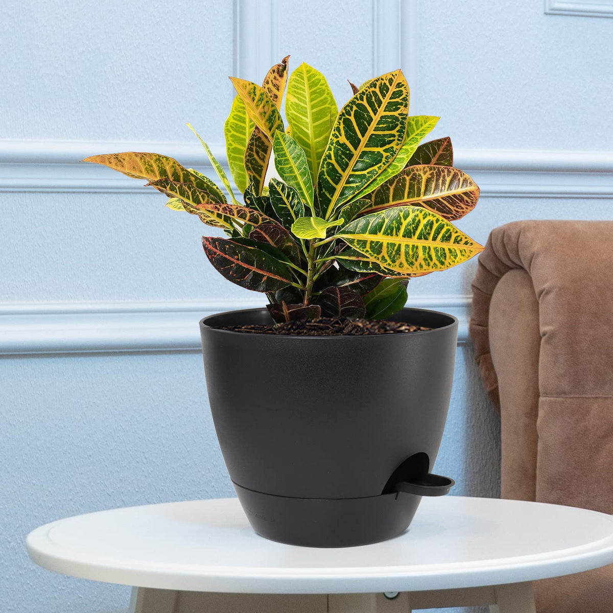 UOUZ matte finish pot adds modern style to indoor spaces