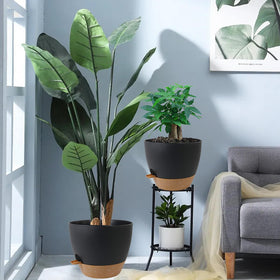 UOUZ modern container garden decor suitable for any living space.