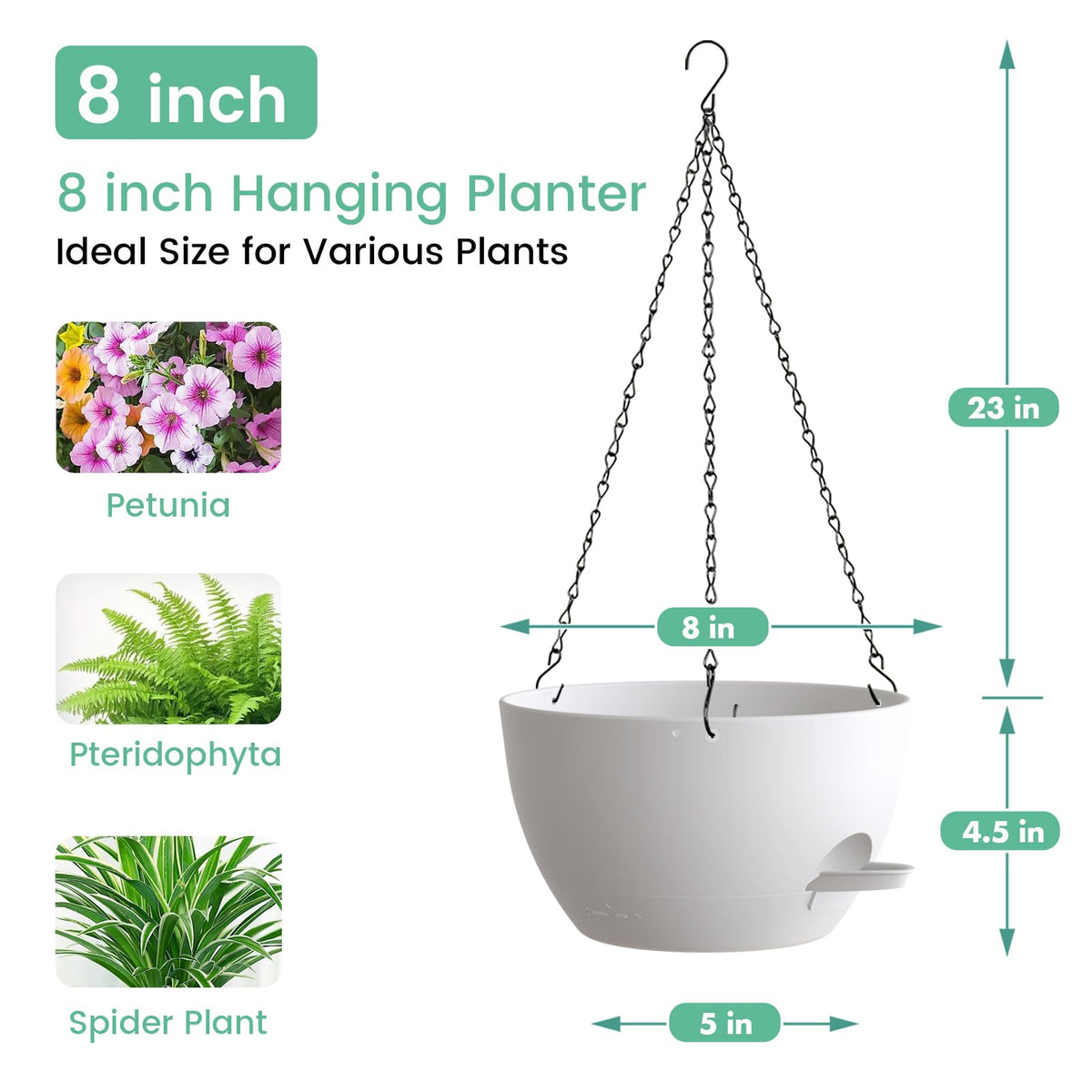 UOUZ modern design hanging planters complement any decor.