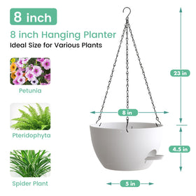 UOUZ modern design hanging planters complement any decor.