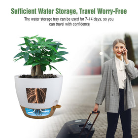 UOUZ modern planter decorates indoor and outdoor spaces