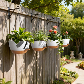 UOUZ pothos and ferns display in hanging planter for lush greenery