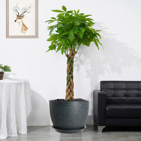 UOUZ sturdy PP material ensures durable long-term use.