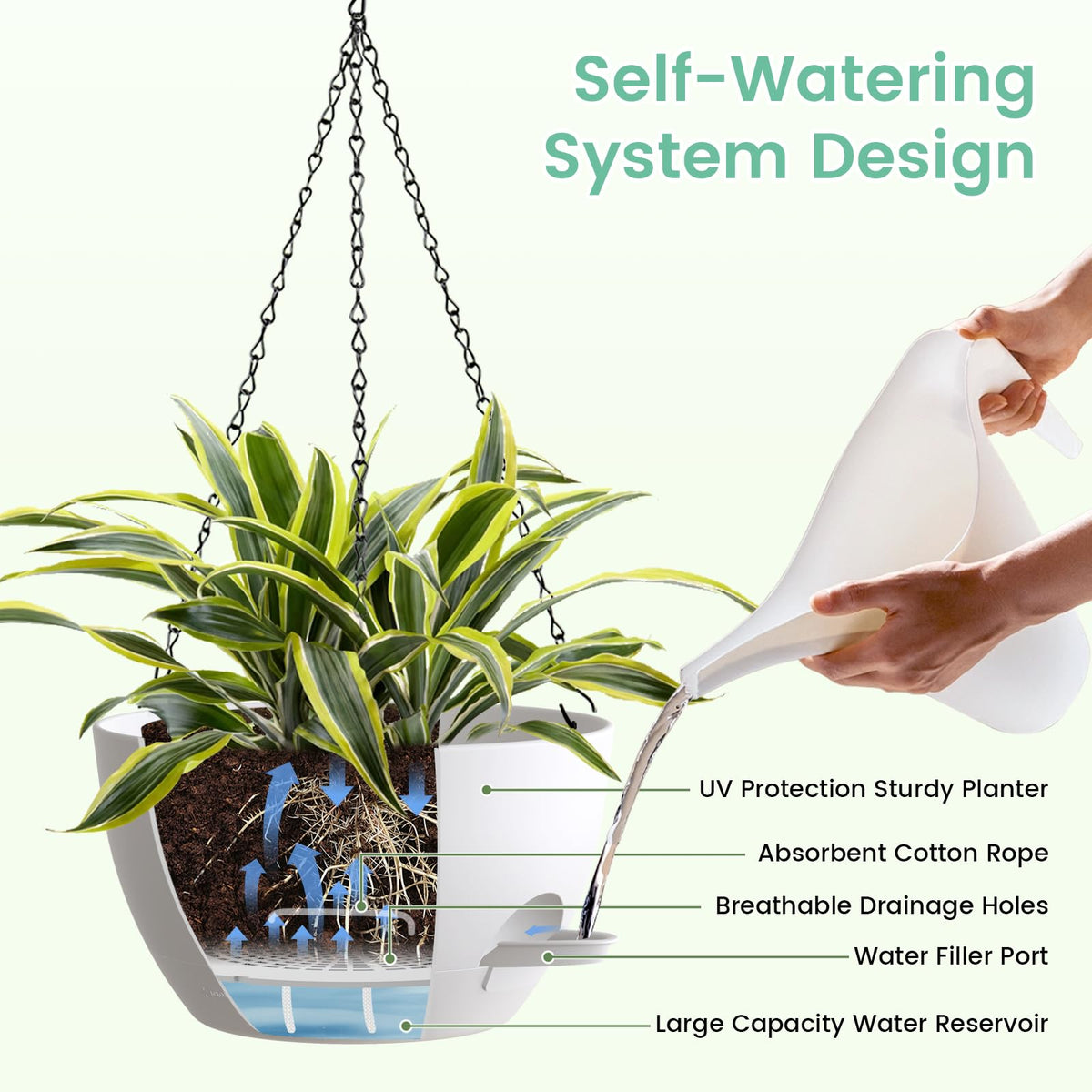 UOUZ removable saucer simplifies cleaning after watering.