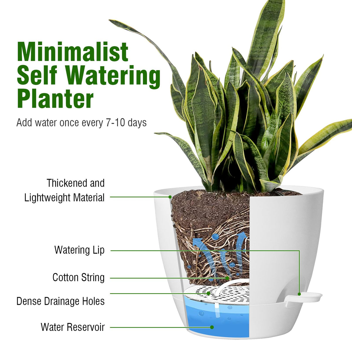 UOUZ removable feeder shows easy watering for consistent root moisture.