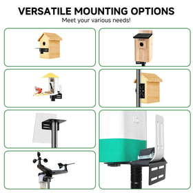 Uoveya one inch pole provides sturdy support for heavy feeders and cameras.