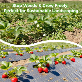 UPGRADE ideal use around flower beds and pathways for easy installation