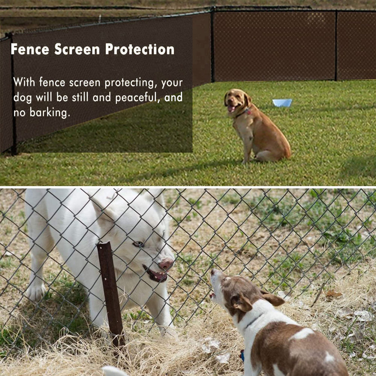 UPGRADE privacy screen protecting plants from wind and sun.