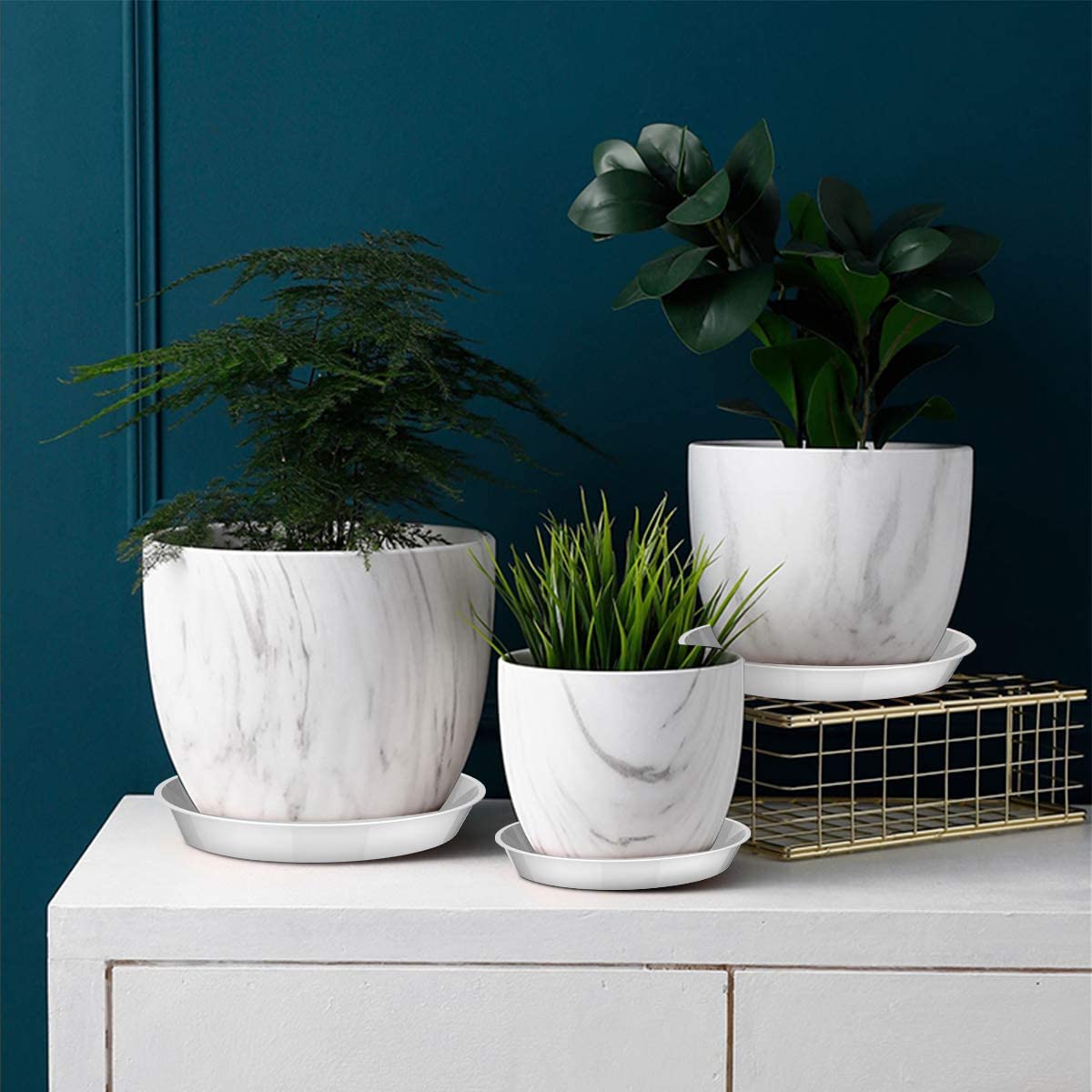 UPMCT 6-pack plant saucer keeps soil spills off floors and furniture.