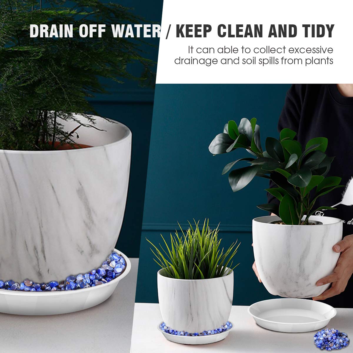 UPMCT plant saucer 8-inch top view guards roots from excess moisture.