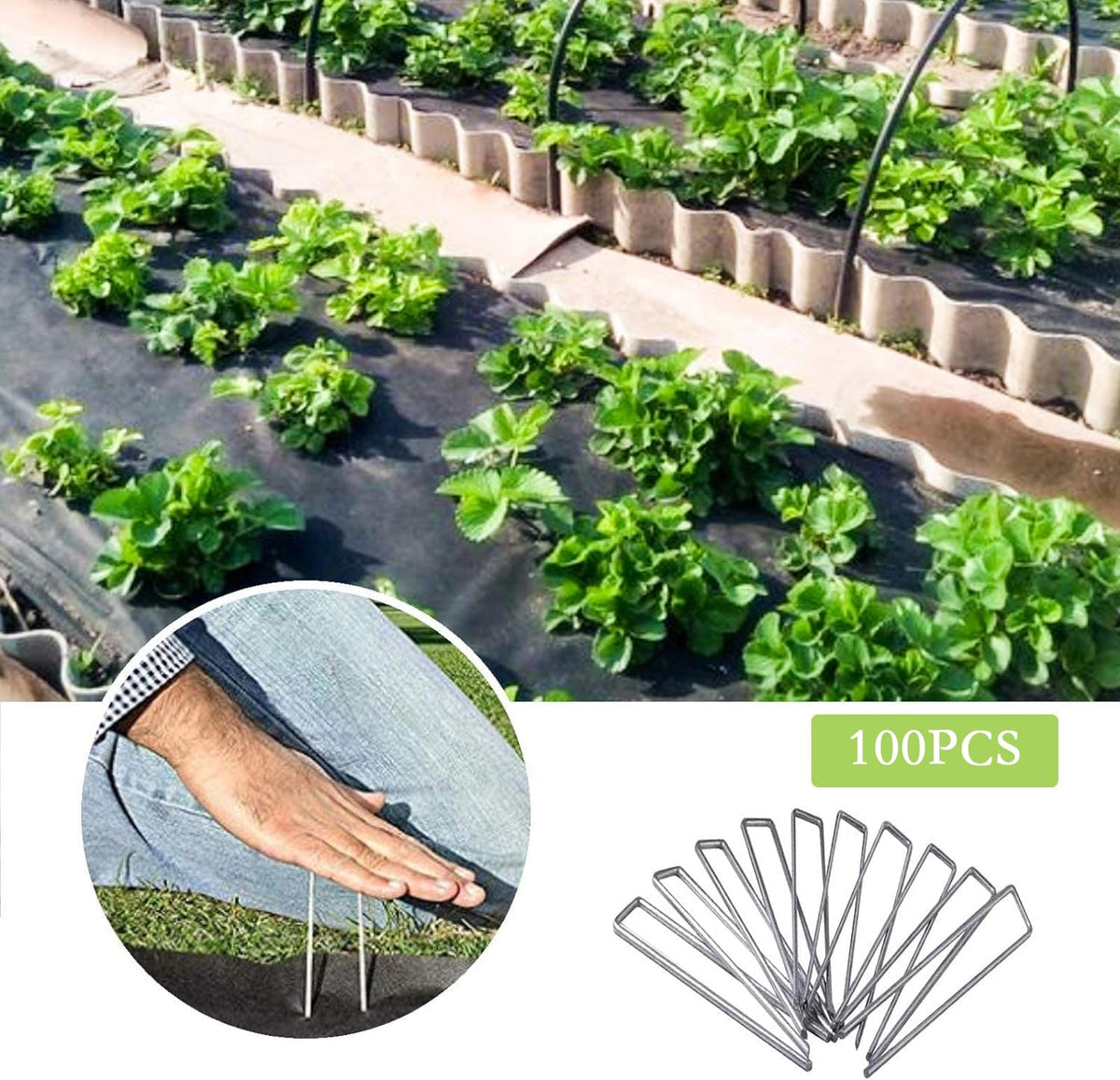 UPMCT stakes hold sprinkler hoses and drip tubing in place.