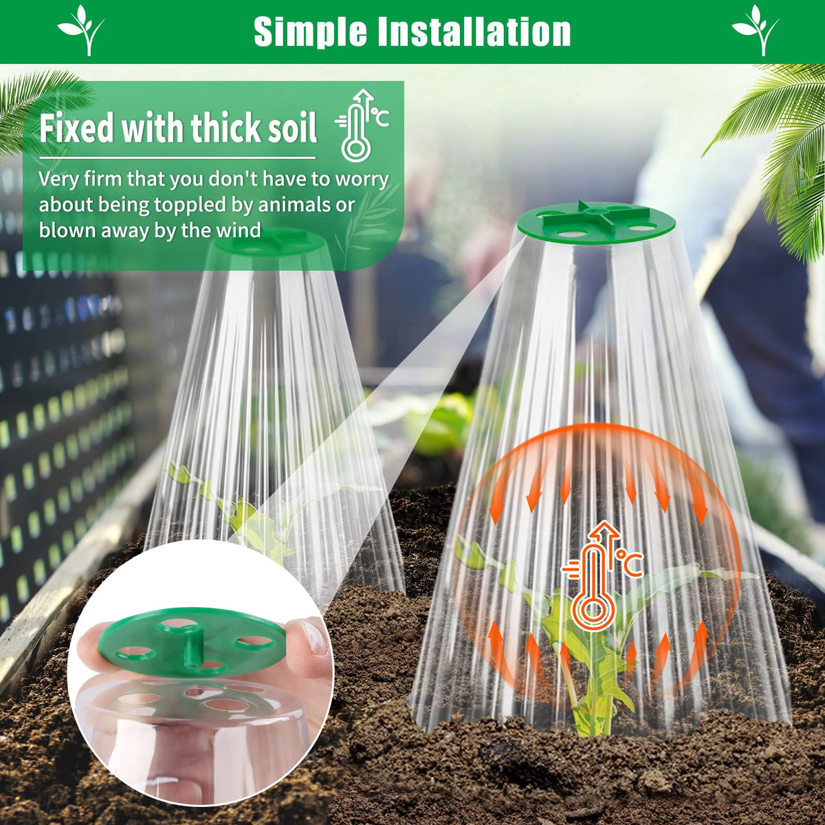UQM garden cloche on seedlings shows easy setup and soil anchoring
