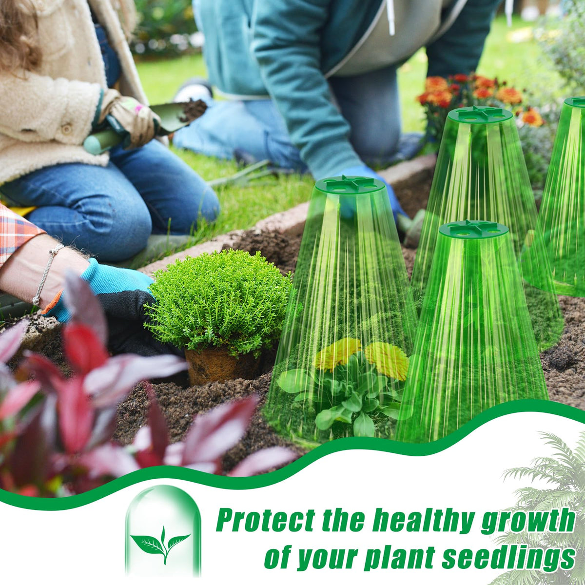 UQM easy-installation cloche protects seedlings with simple soil anchor.