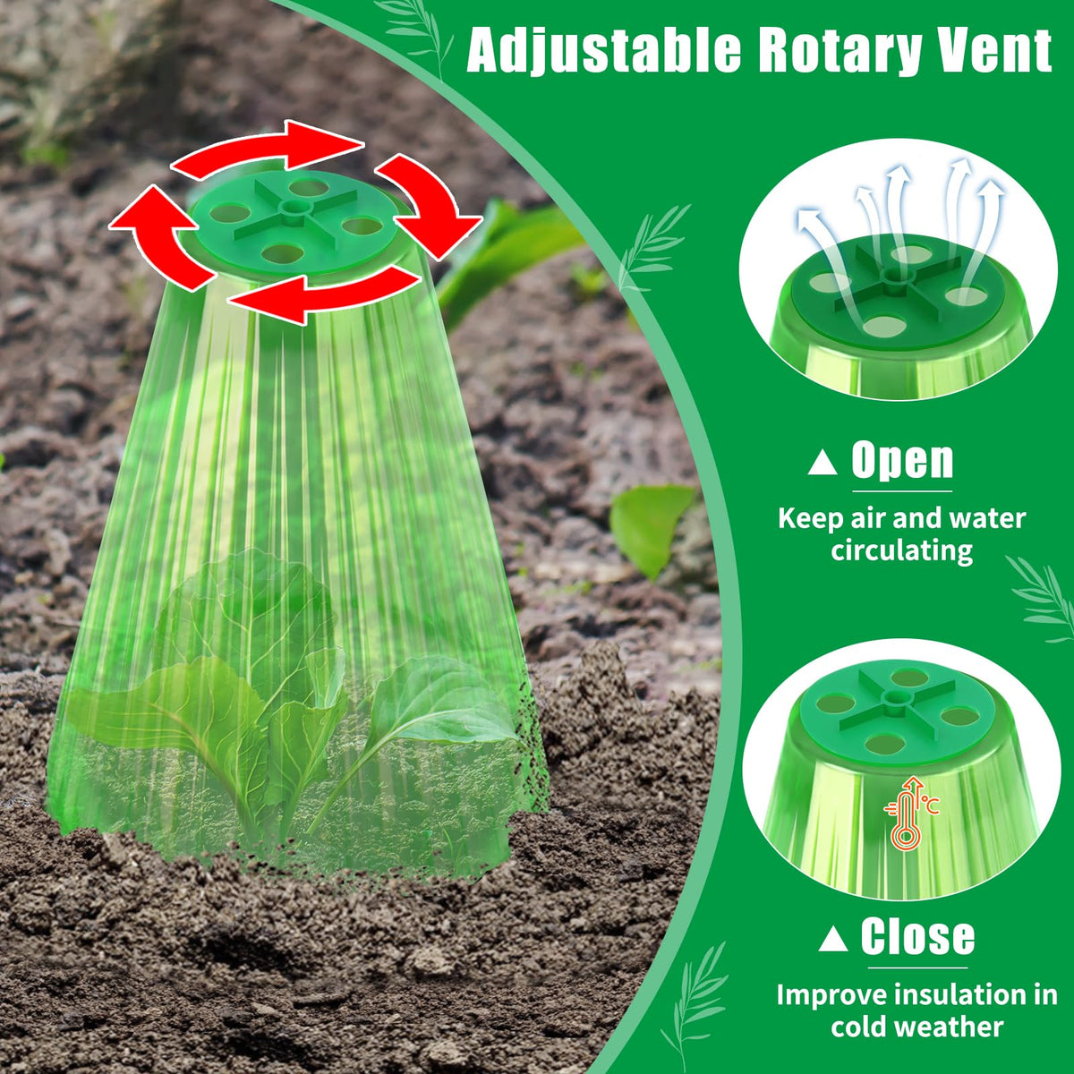 UQM green translucent cloche provides clear light and warm microclimate.