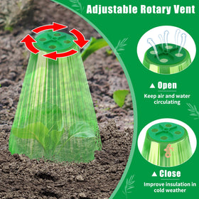 UQM green translucent cloche provides clear light and warm microclimate.