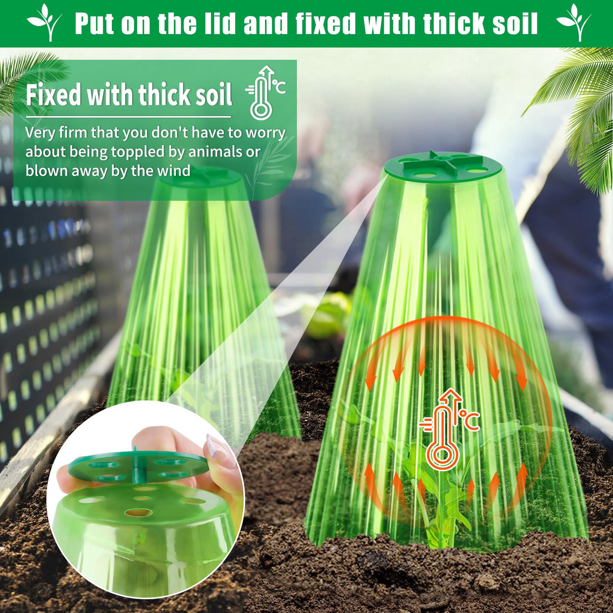 UQM pest protection cloche guards flowers and vegetables from snails and birds.