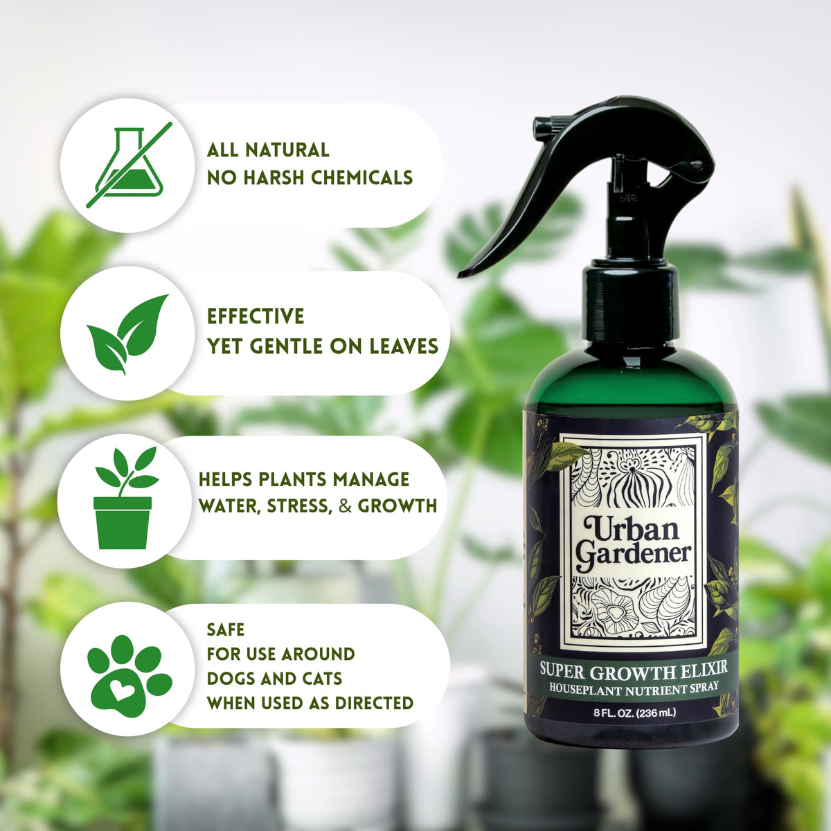 Urban Gardener leaf nourishment spray on philodendron leaves for resilience.