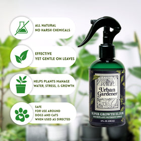 Urban Gardener leaf nourishment spray on philodendron leaves for resilience.