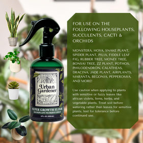 Urban Gardener Monstera deliciosa leaves receiving wellness spray for growth.