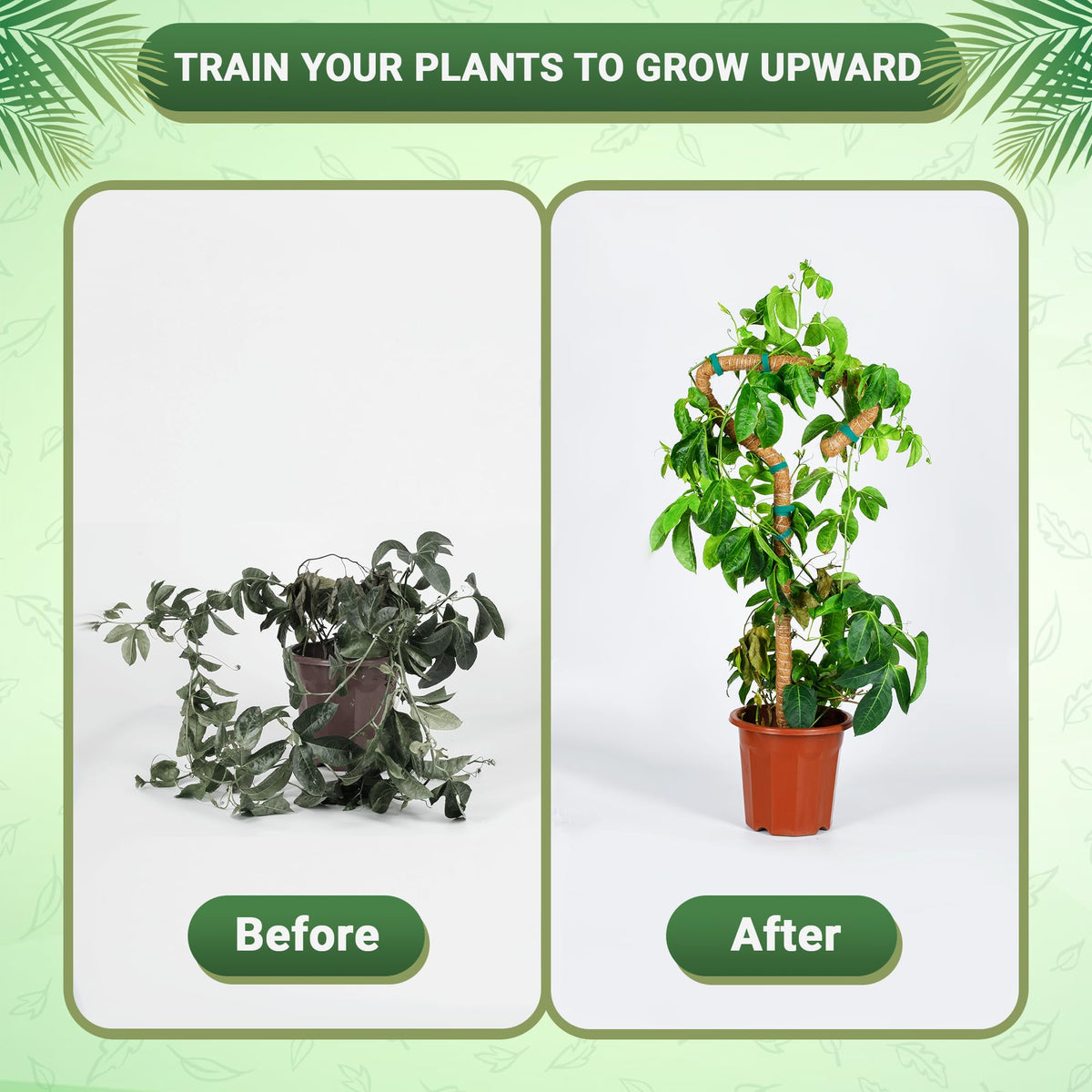 Urban Gloom Pins and Tape Set securing stems without damage.