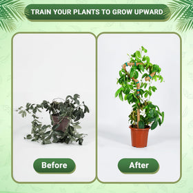 Urban Gloom Pins and Tape Set securing stems without damage.