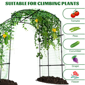 UrGROWA adjustable height design fits tall plants securely