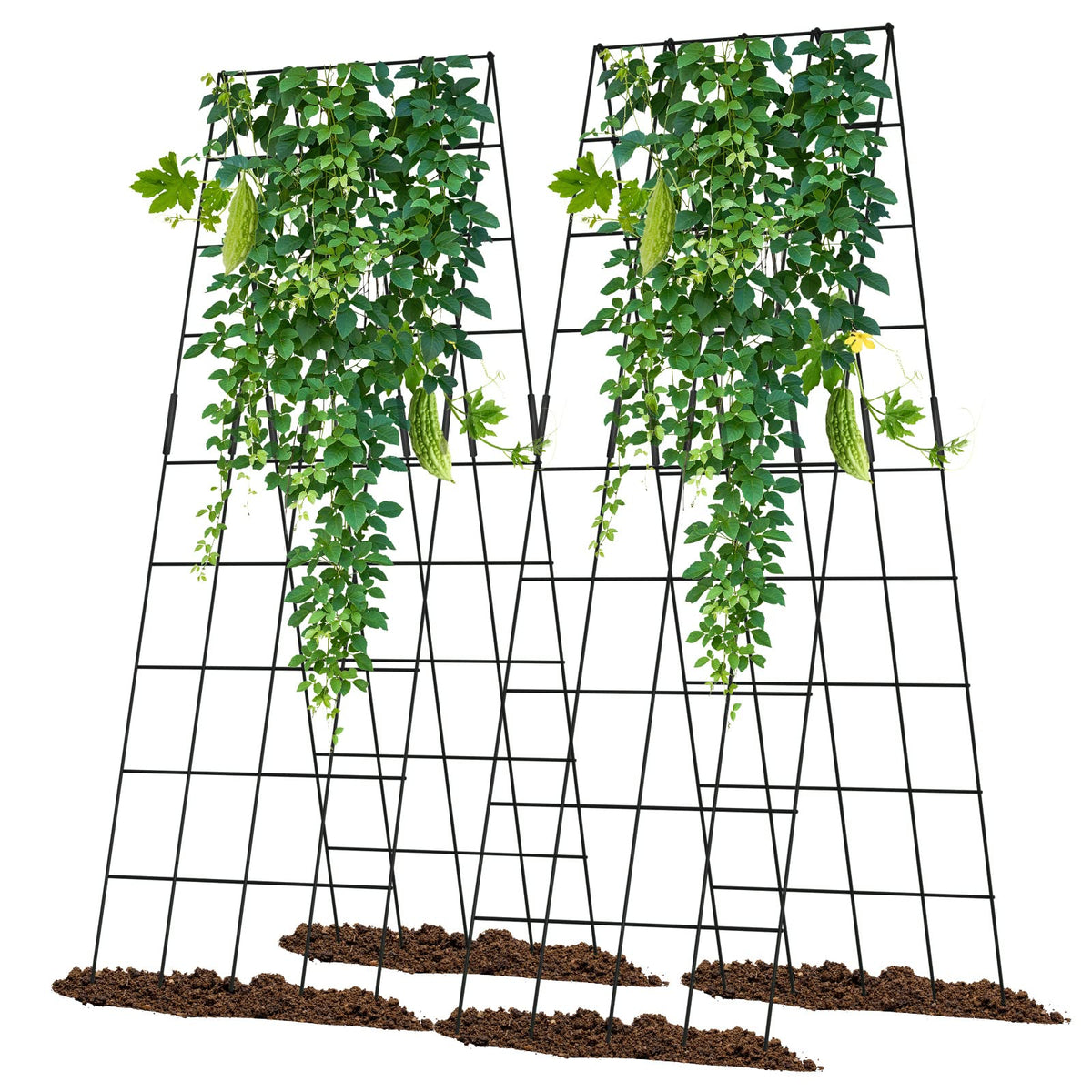 UrGROWA cucumber trellis 59-inch foldable A-frame supports vigorous vines