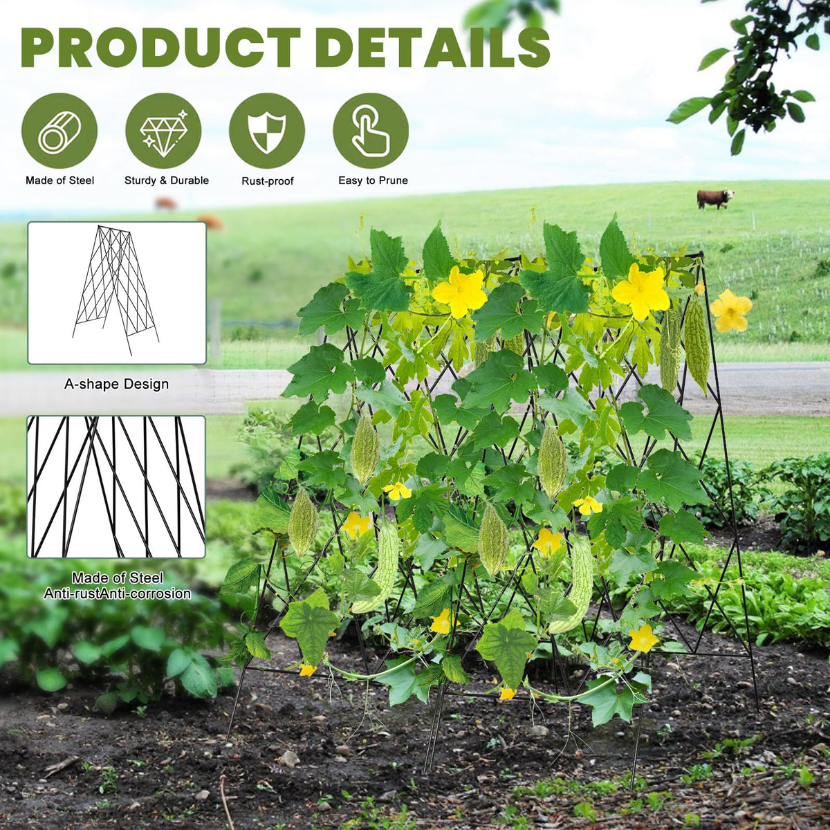 UrGROWA Cucumber Trellis alloy steel frame is weather resistant and durable